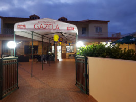 Gazela outside