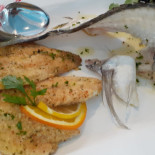 Mistral Comida