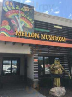 Mellow Mushroom Johnson City outside
