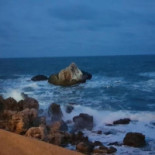 Blue Morning Comida
