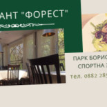 Forest Форест Dentro