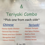 Oshio Teriyaki Dentro