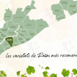 L'era Comida