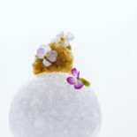 Alinea Comida
