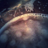 eCreamery Comida