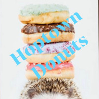 Hoptown Donuts inside