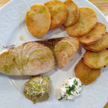 Shaha Comida