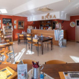 Bucha Tapas Wine Comida