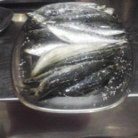 Alcides Comida