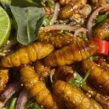 อาหารสไตล์เชฟปานป์ Comida