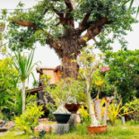 บ้านสวนน้ำ สุรินทร์ Exterior