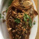 ร้านริมคลองท้องนา Dentro