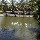 ร้านอาหารน้องนุช Comida