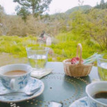 アリスの Tíng Comida