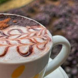 Dicafe Nourriture