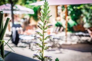 Bockenheimer Weinstube outside