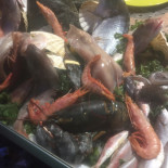 Scioscio Comida