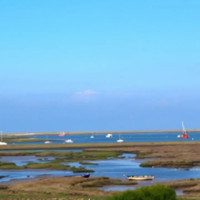 The White Horse Brancaster Staithe food