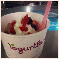 Yogurtland food