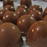 Gourmet Trufas Comida