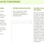 Sucos Mágicos Dentro