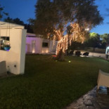 Vibi Exterior