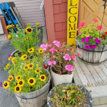 Dancing Moose Café Exterior