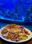 Aquarium food