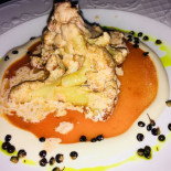 Eucalyptus Comida