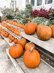 Cider Hill Farm inside