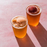 Upstart Kombucha Comida