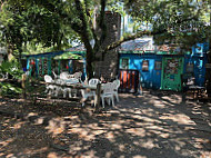 Pawleys Island Tavern inside