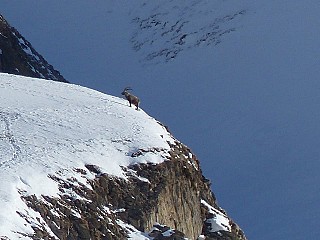 Hotel Du Col De Fenetre