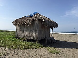 La Ceiba De Manguito