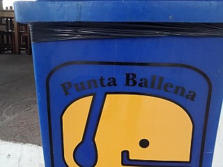 Punta Ballenas