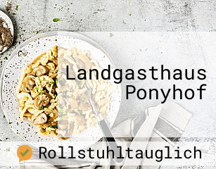 Landgasthaus Ponyhof