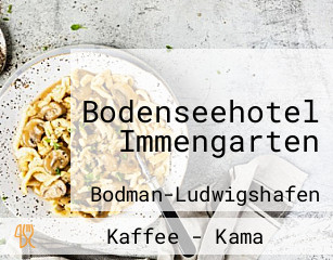 Bodenseehotel Immengarten