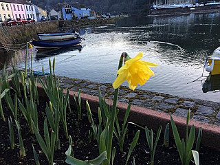 Cafe On The Quay