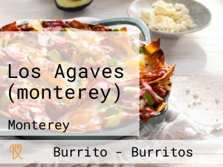 Los Agaves (monterey)