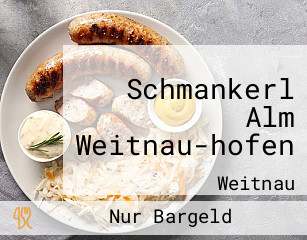 Schmankerl Alm Weitnau-hofen