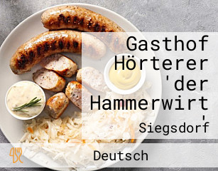 Gasthof Hörterer 'der Hammerwirt '