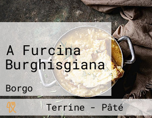 A Furcina Burghisgiana