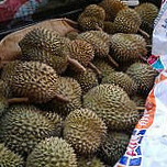 สวนจันฮิ