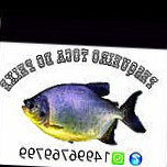 Pesqueiro Toca Do Peixe