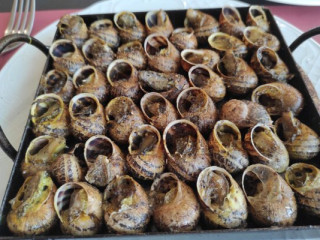 Sicoris