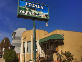 Potala Vegan Cafe