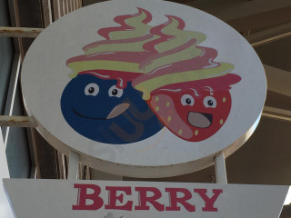 Berry Yougurt
