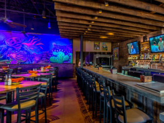 Cien Agaves Tacos Tequila North Scottsdale