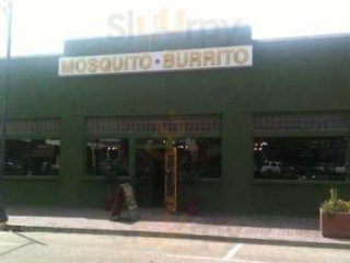 Mosquito Burrito