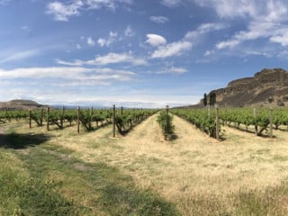 Cascade Cliffs Vineyard Winery
